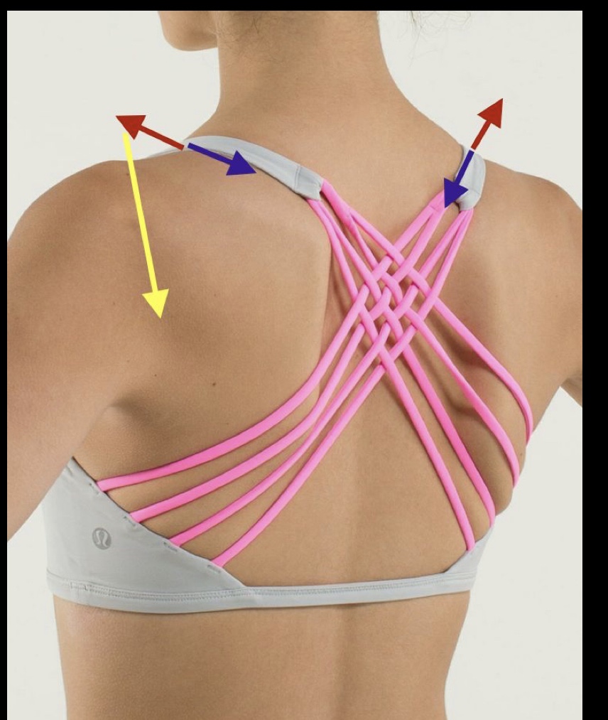 Tight bra straps in youth led to shoulder arthritis